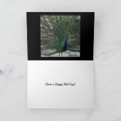 Carte Anniversaire de paon (Intérieur)