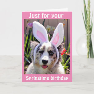 CARTE ***ANNIVERSAIRE DE PÂQUES*** J'AI PRIS MES OREILLE