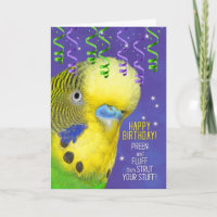 Anniversaire de Parrot Lover avec Budgie Fun Bird