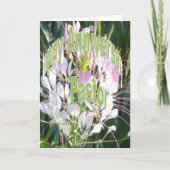 Carte Anniversaire de pasteur (Devant)