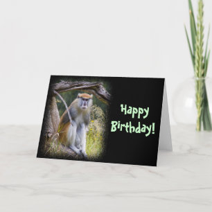 Carte Anniversaire de Patas Monkey