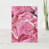Carte Anniversaire de Pink Hydrangea (Devant)