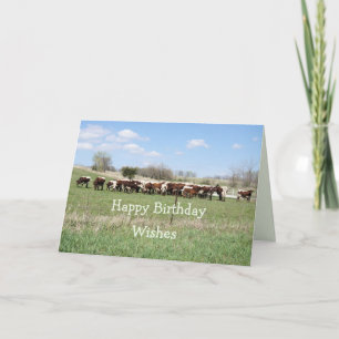 Carte Anniversaire de Pinzgauer 8399 - customisez