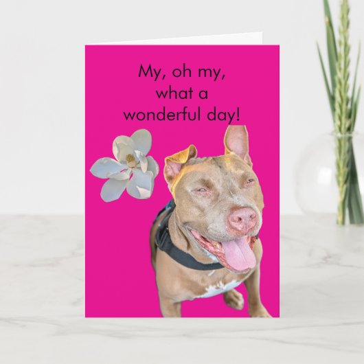 Carte Anniversaire de Pit Bull souriant (Devant)