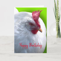 Anniversaire de poulet blanc