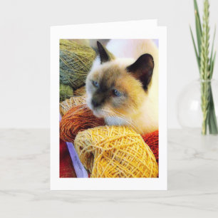 Carte Anniversaire de Purrfect, chat siamois en fil