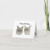 Carte Anniversaire de Ragdoll Cats (Devant)