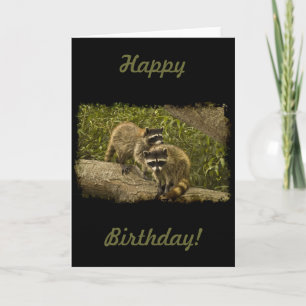 Carte Anniversaire de ratons laveurs