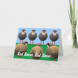 Carte Anniversaire de Red Rover