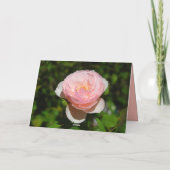 Carte Anniversaire de rose de rose joyeux à la soeur (Dos)
