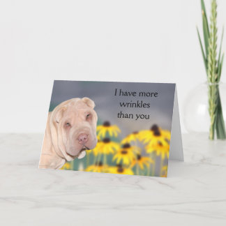 Carte Anniversaire de Shar Pei