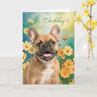 Anniversaire de Tiny Orange Cosmos Bouledogue Fran