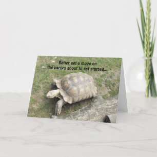 Carte Anniversaire de Tortue Drôle