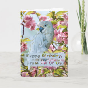 Carte Anniversaire, de tous les nous, perroquet blanc