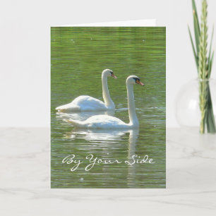 CARTE ANNIVERSAIRE, "DE VOTRE CÔTÉ", DEUX SWANS BLANCS,
