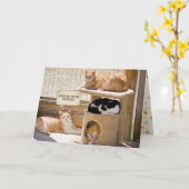 Carte anniversaire des chats endormis (Fleur jaune)