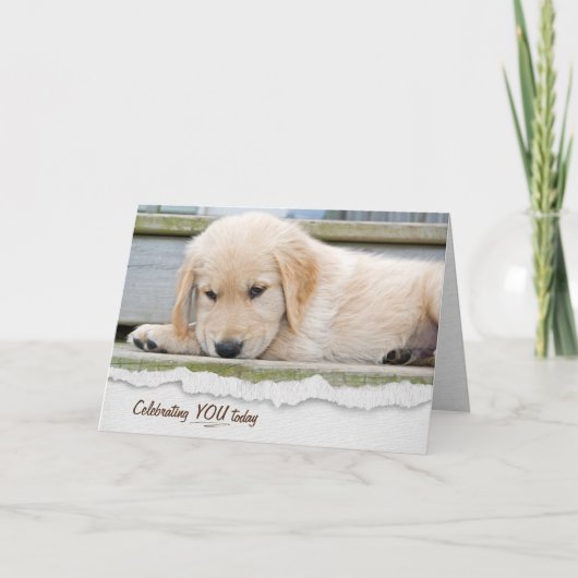 Carte Anniversaire des chiots Golden Retriever (Devant)