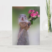 Carte Anniversaire des écureuils (Devant)