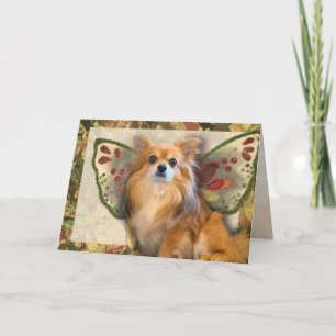 Carte Anniversaire des fées de Longhair Chihuahua