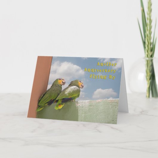 Carte Anniversaire des mouches du temps (Devant)