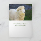 Carte Anniversaire Des Moutons Chauds Et Fuzzés (Intérieur)