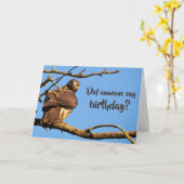 Carte Anniversaire des photos de la nature de Funny Hawk (Fleur jaune)