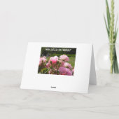 Carte Anniversaire des roses roses roses (Dos)