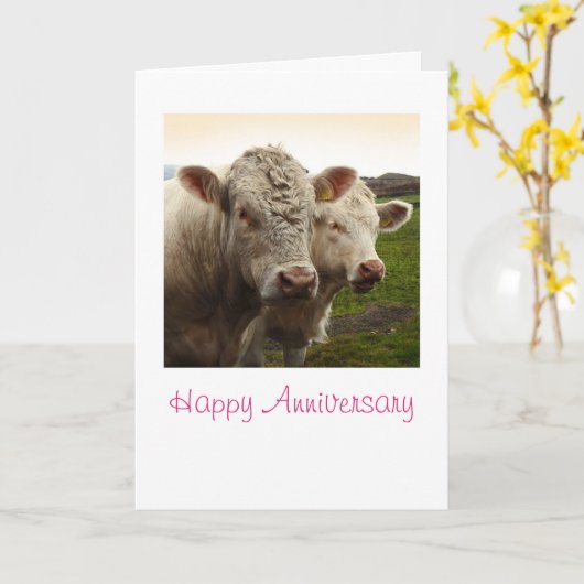 Carte Anniversaire des vaches (Fleur jaune)