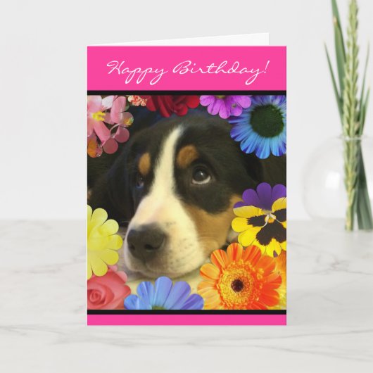 Carte Anniversaire des yeux chiots (Devant)