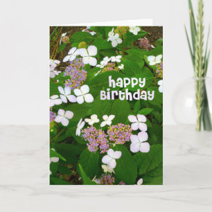 Carte Anniversaire d'Hortensia Aspera