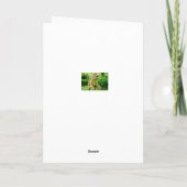 Carte Anniversaire Dinosaur (Dos)