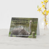 Carte Anniversaire drôle d'autruche (Fleur jaune)