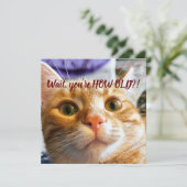 Carte Anniversaire drôle de chat (Debout devant)