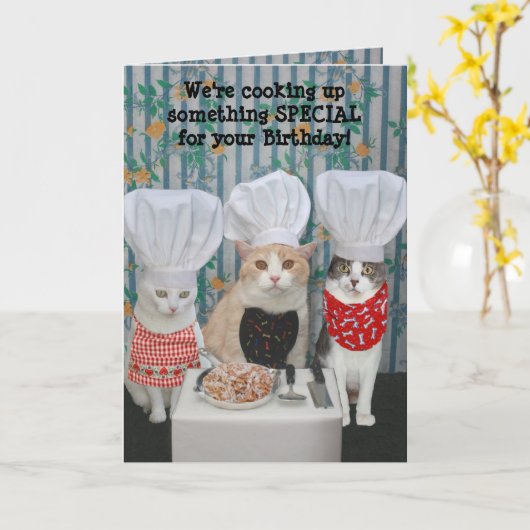 Carte Anniversaire drôle de chats de chef (Fleur jaune)