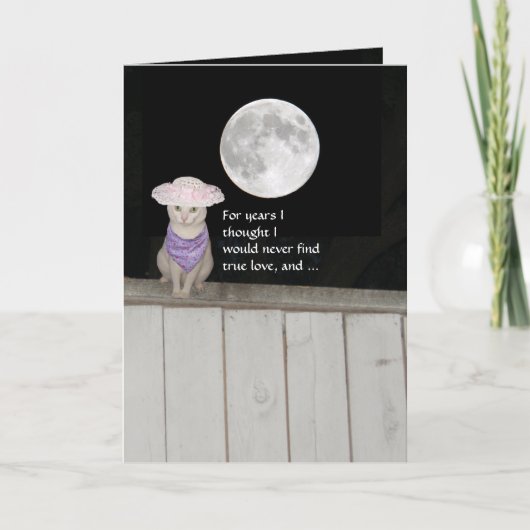 Carte Anniversaire drôle de chats pour mari (Devant)