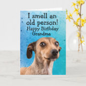 Carte Anniversaire drôle de chien (Fleur jaune)