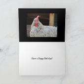 Carte Anniversaire drôle de coq (Intérieur)