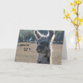 Carte Anniversaire drôle de Llama, 50e, sur la colline (Fleur jaune)