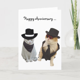 Carte Anniversaire drôle des chats