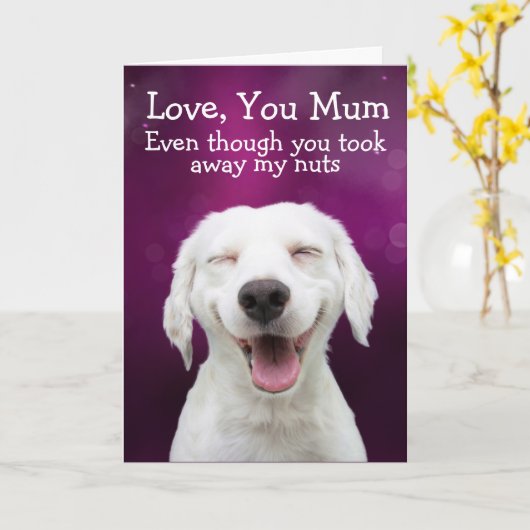 Carte Anniversaire drôle du labrador (Fleur jaune)