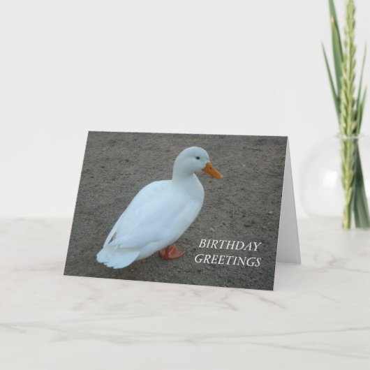 Carte Anniversaire du canard blanc (Devant)