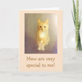 Carte Anniversaire "Du Chat" (Devant)