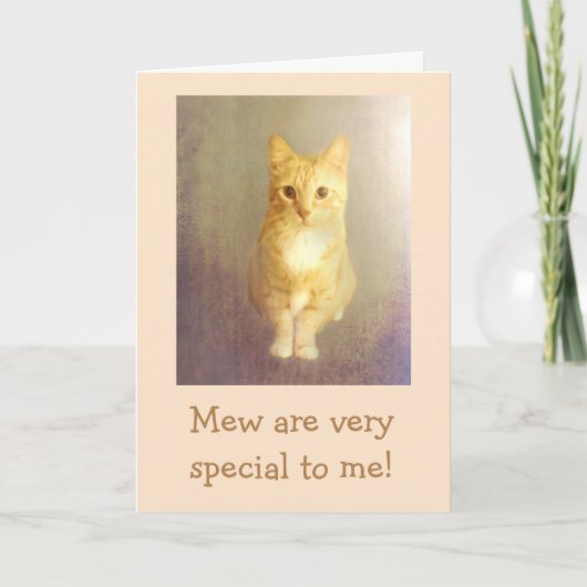 Carte Anniversaire "Du Chat" (Devant)