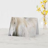 Carte Anniversaire du cheval blanc (Fleur jaune)