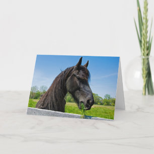 Carte Anniversaire du Cheval Friésien Noir
