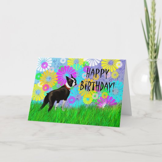Carte Anniversaire du chien de Boston Terrier (Devant)