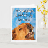 Carte Anniversaire du chien Golden Retriever (Fleur jaune)