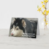 Carte Anniversaire du chien humoristique (Fleur jaune)