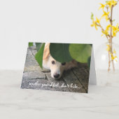 Carte Anniversaire du chien mignon, Au-dessus de la coll (Fleur jaune)