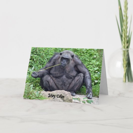 Carte Anniversaire du Chimpanzé (Devant)